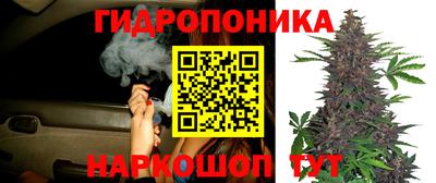 МДПВ Изобильный